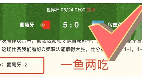 篮球女皇争霸，欧亿体育App，女欧赛事不容错过的精彩